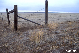Drought; fence in a dry field
