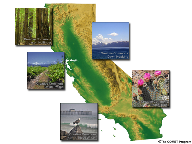 Satellite view of California with a montage of small images scattered around depicting the redwood forest, grape vines, cactus, Lake Tahoe, and a seagull on a rock at a beach