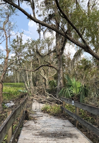 This photo shows a boardwalk trail in the cypress swamplands of the Barataria Preserve (part of Jean Lafitte NHP&P) after Hurricane Ida hit the Gulf Coast with 150-mph winds in 2021.