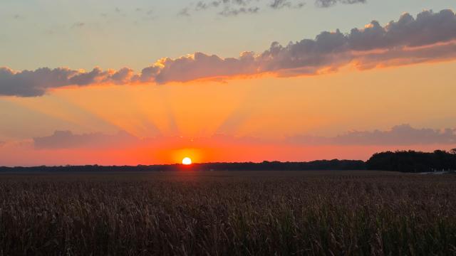 A bright orange sunrise above the prairie