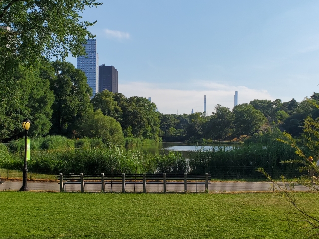 Lush green park with park bench in foreground, lake in background, and skyscrapers in the skyline