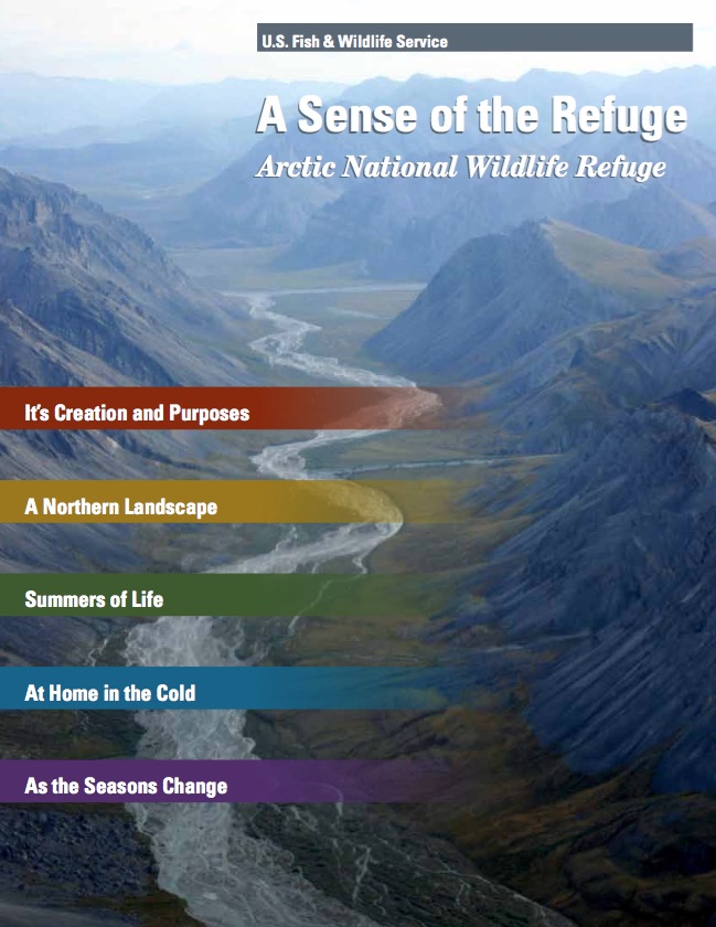 A Sense of the Refuge