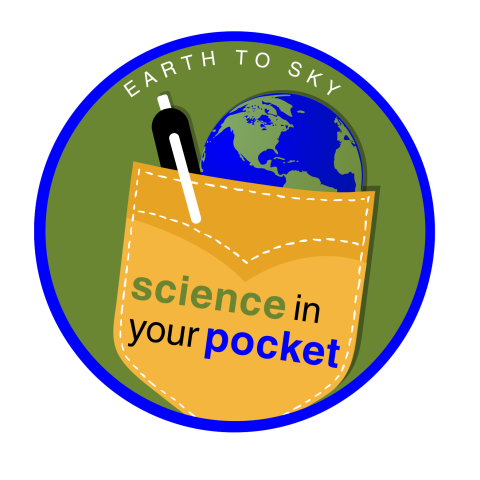 SIYP Logo