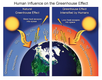 Human Influence on Greenhouse effect