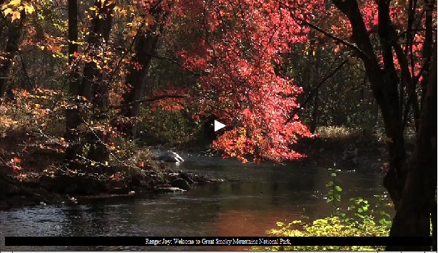 monitoring_cc_in_the_smokies