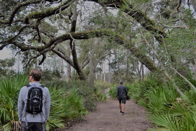 two hikers on refuge trail beneath larged arched boughs of trees